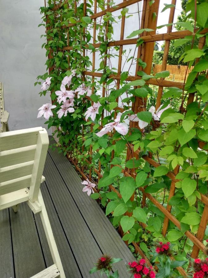 Apartament Przy Kamiennej Chacie Zalewo  Exterior foto
